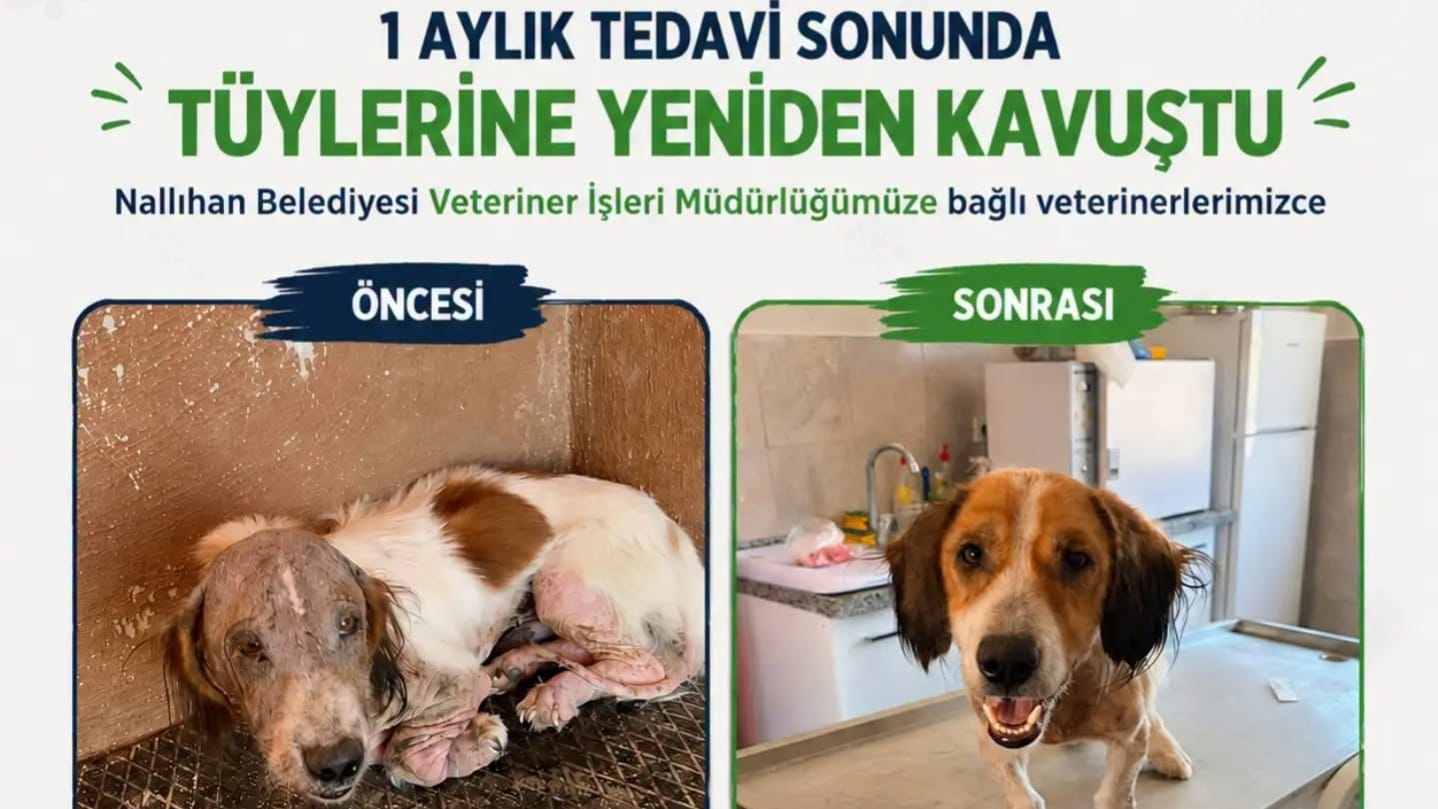 BİR AYDA UMUTLAR YENİDEN YEŞERDİ