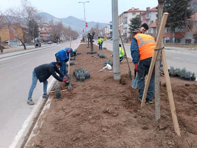 İLÇEMİZDEKİ ORTA REFÜJÜ GÜZELLEŞTİRME KAPSAMINDA EKİPLERİMİZ ÇALIŞMALARINI ARALIKSIZ SÜRDÜRÜYOR