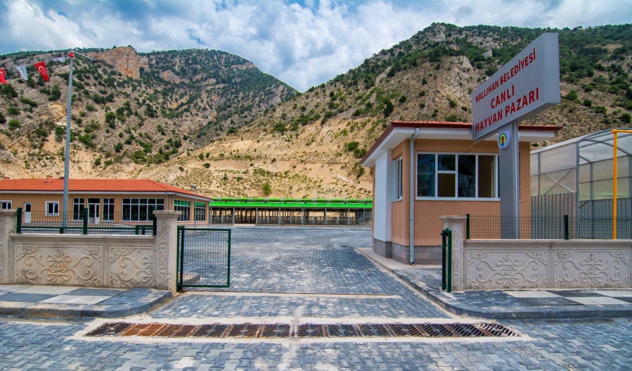 NALLIHAN BELEDİYESİ CANLI HAYVAN PAZARI TESİSİ - Görsel 3
